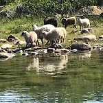 Kalles, Skaergardsidyll Med Utsikt Oever Hamnsundet Casa vacanze *