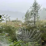 Casa vacanze Kalles, Skaergardsidyll Med Utsikt Oever Hamnsundet Saltvik
