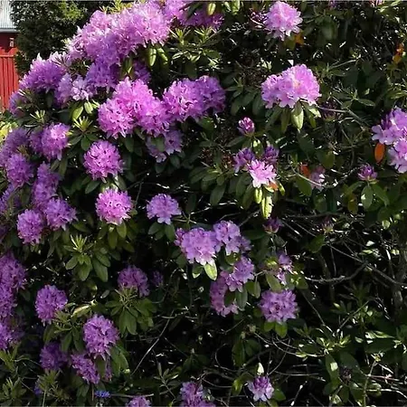 Kalles, Skärgårdsidyll Med Utsikt över Hamnsundet Semesterbostad Saltvik