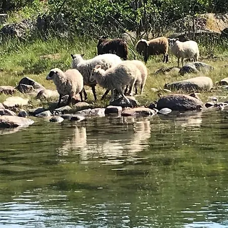 Kalles, Skaergardsidyll Med Utsikt Oever Hamnsundet Prázdninový dům *