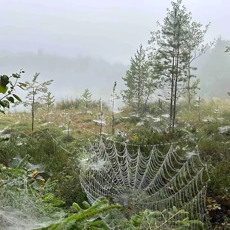 Дом отдыха Kalles, Skaergardsidyll Med Utsikt Oever Hamnsundet Saltvik
