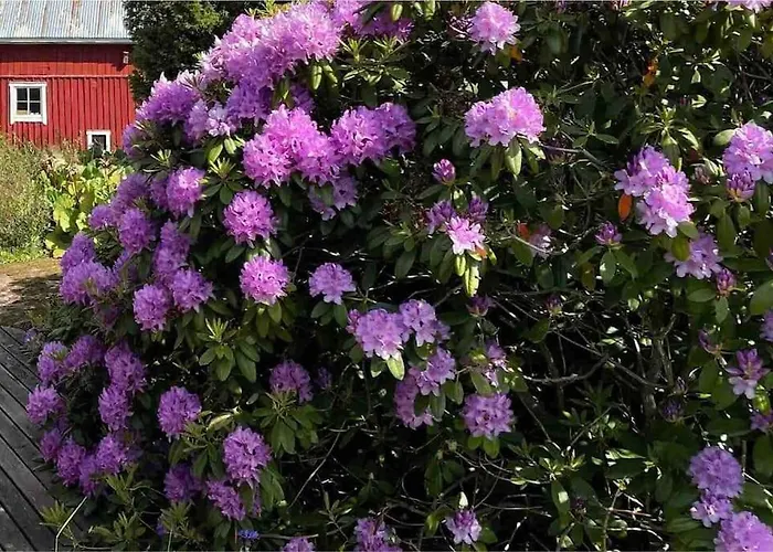 Kalles, Skaergardsidyll Med Utsikt Oever Hamnsundet Σπίτι διακοπών Saltvik