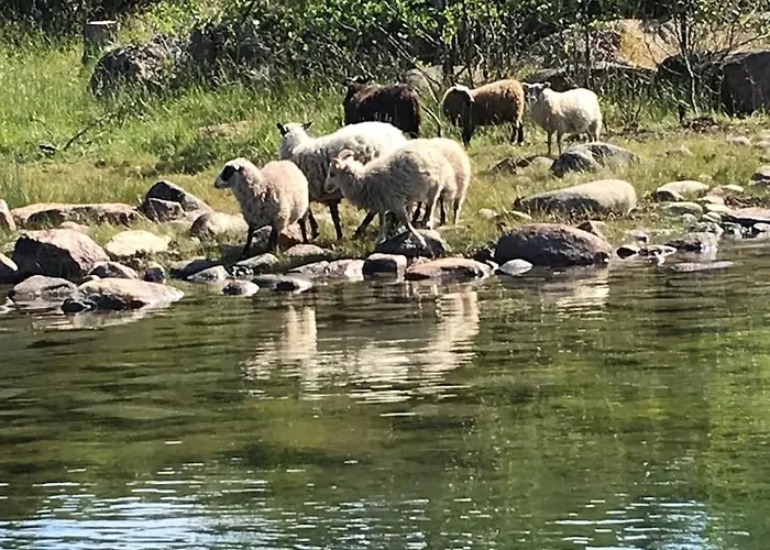 Kalles, Skaergardsidyll Med Utsikt Oever Hamnsundet Σπίτι διακοπών *