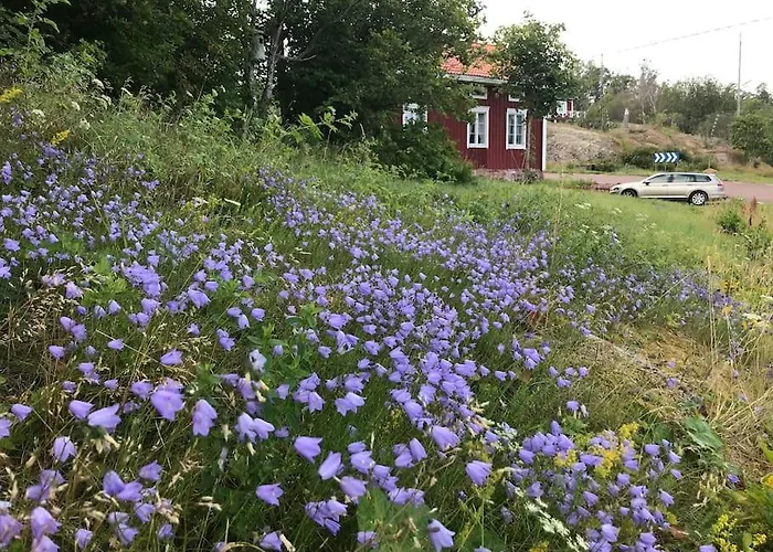 Kalles, Skaergardsidyll Med Utsikt Oever Hamnsundet *